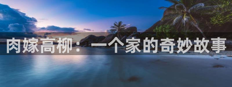 囧次元官方入口下载