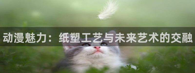 囧次元网页版入口网址