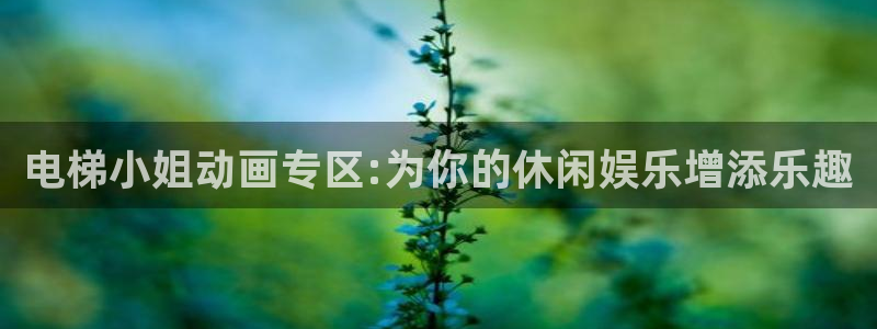 囧次元官方下载最新版