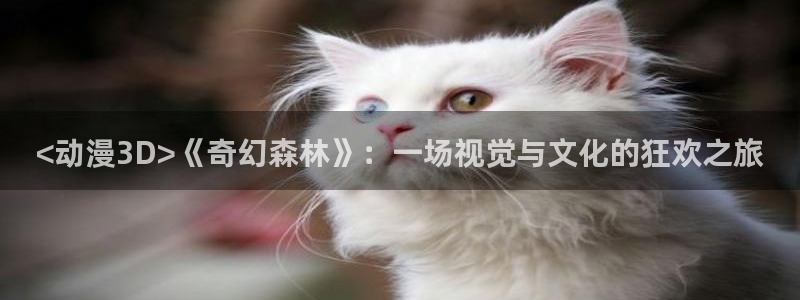 囧次元苹果版官方网站入口