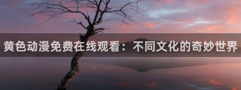 最新版囧次元app下载