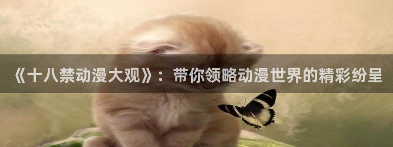 囧次元免费下载官方正版