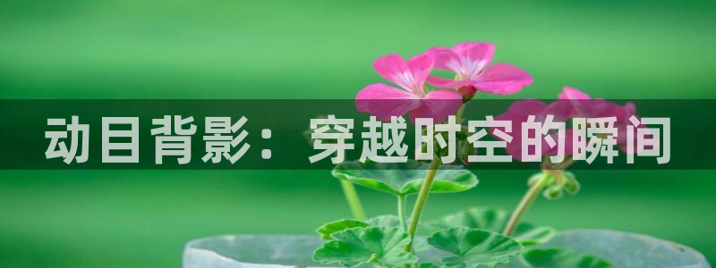 囧次元官方网站入口更新