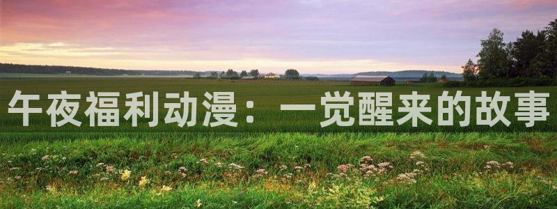 囧次元app下载