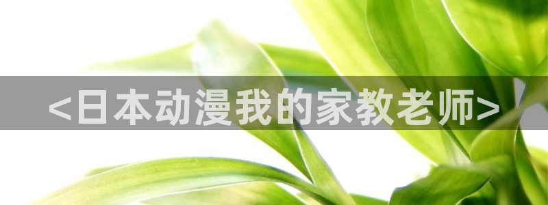 囧次元动漫官网入口下载