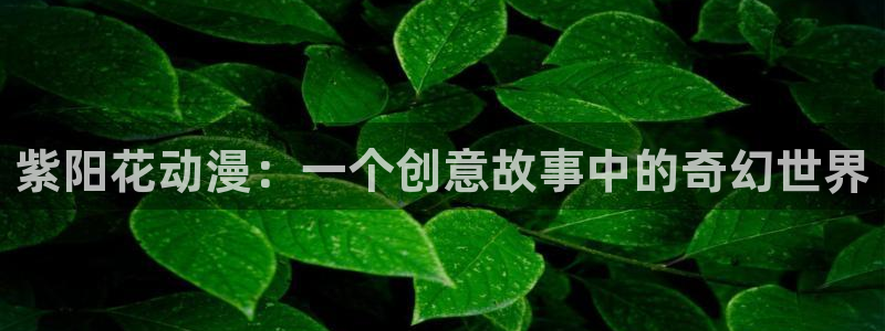 囧次元官方下载