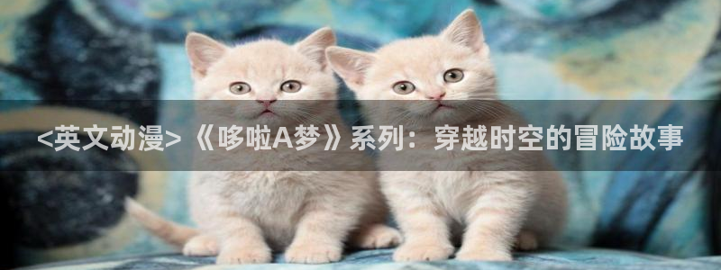 囧次元下载最新