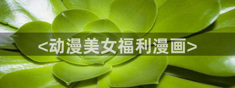 囧次元链接
