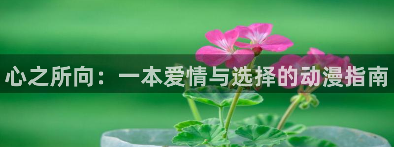 囧次元官网最新下载