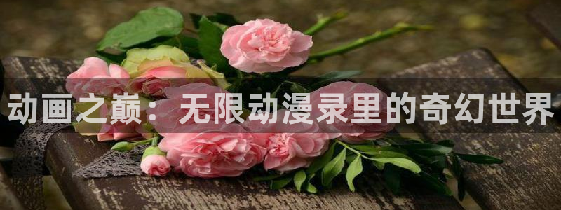 囧次元官方下载正版