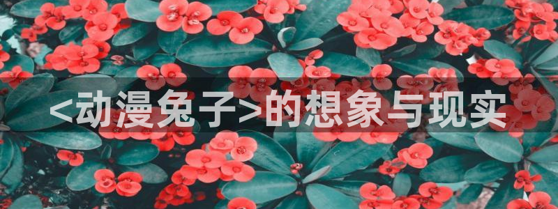囧次元网页版入口