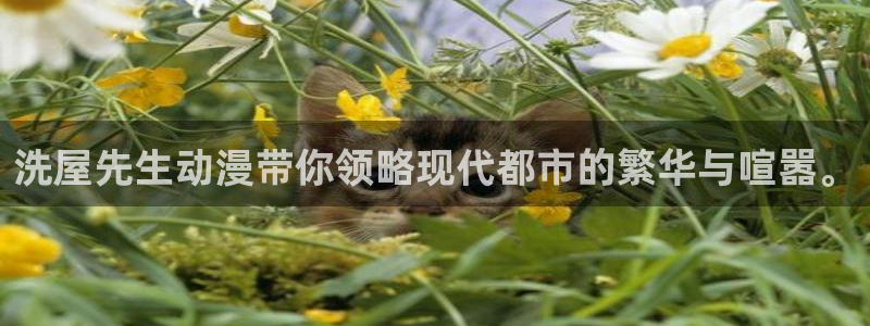 囧次元动漫官方