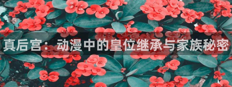 正版囧次元