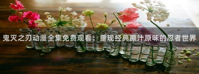 囧次元苹果版官方网站入口