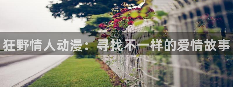 囧次元免费下载官方正版
