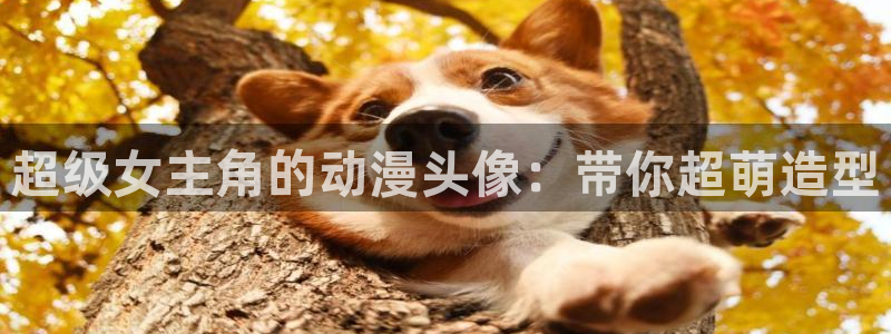 囧次元新版下载