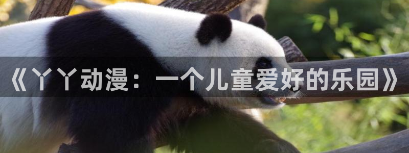 囧次元老版本