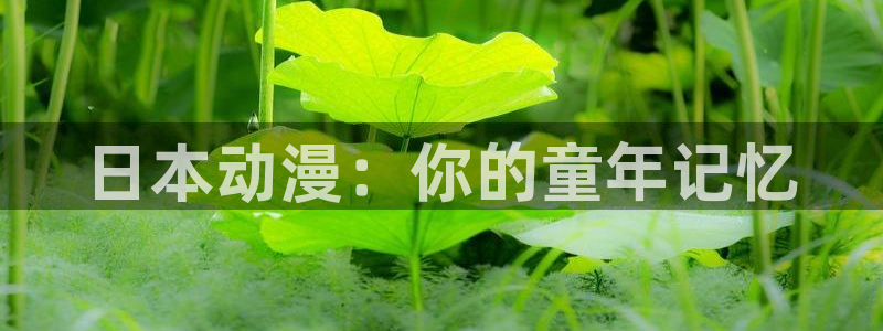 囧次元app下载动漫