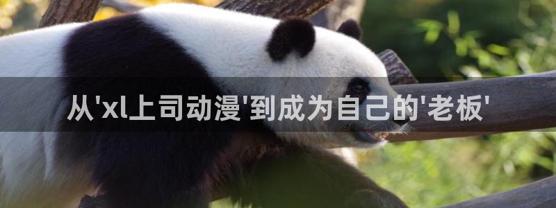 囧次元动漫下载app官网