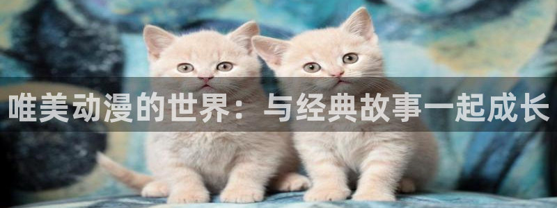 囧次元在哪下