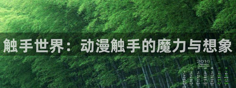 囧次元纯净版正版官网入口