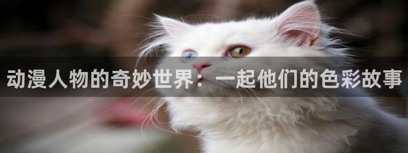 囧次元最新版官网下载