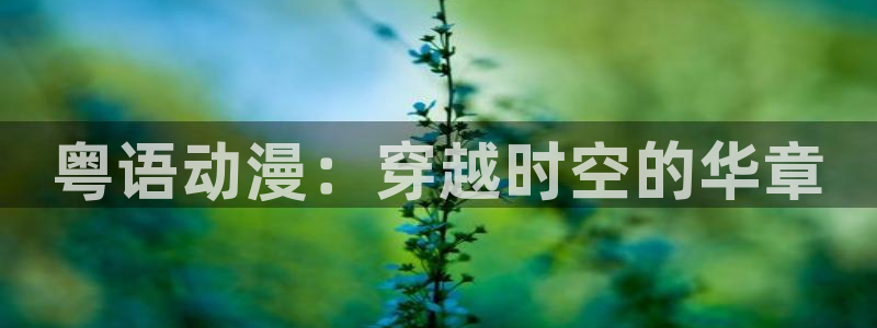 囧次元官方app下载