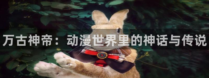 囧次元 官网