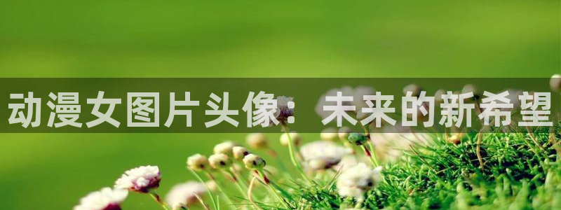 囧次元网页版