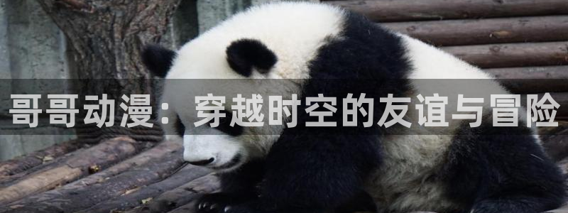囧次元看动漫