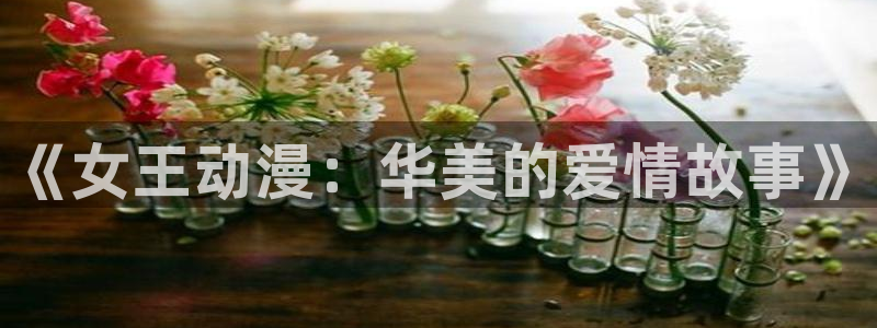囧次元看动漫免费