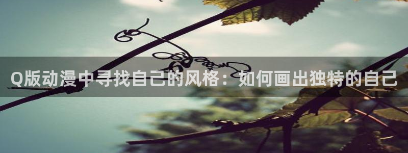 囧次元入口