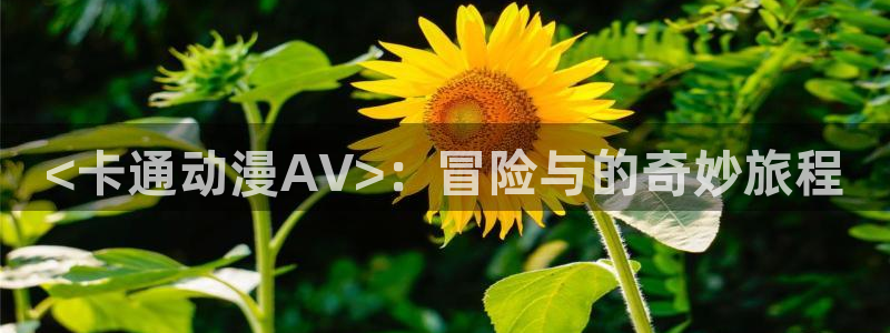 囧次元囧次元：<卡通动漫AV>：冒险与的奇妙旅程