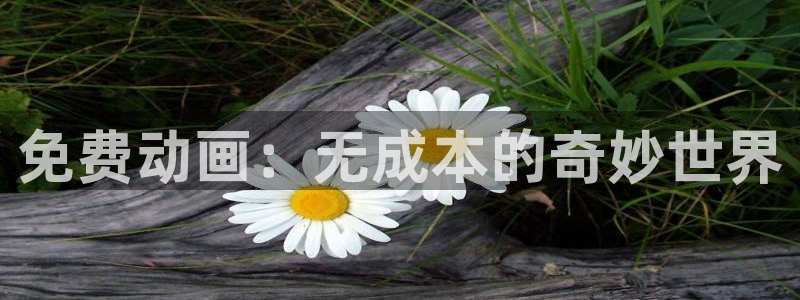 囧次元在线官网：免费动画：无成本的奇妙世界